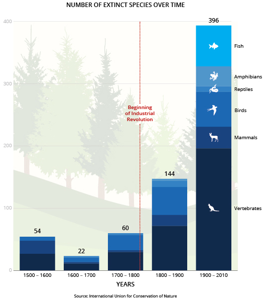 Extinction Chart 500 Years
